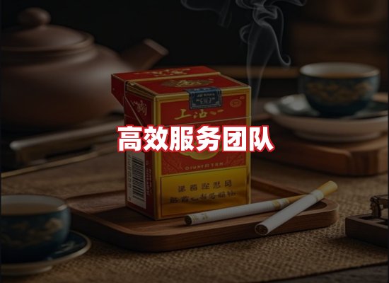 专业团队